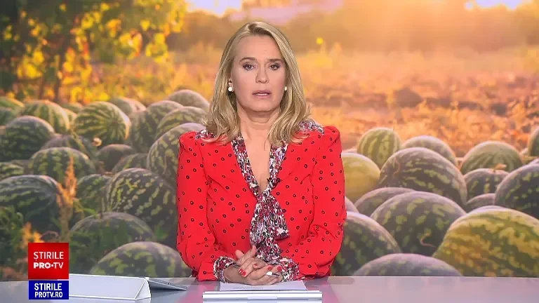 Mii de tone de pepeni de Dăbuleni se strică pe câmp, pentru că nu-i mai cumpără nimeni