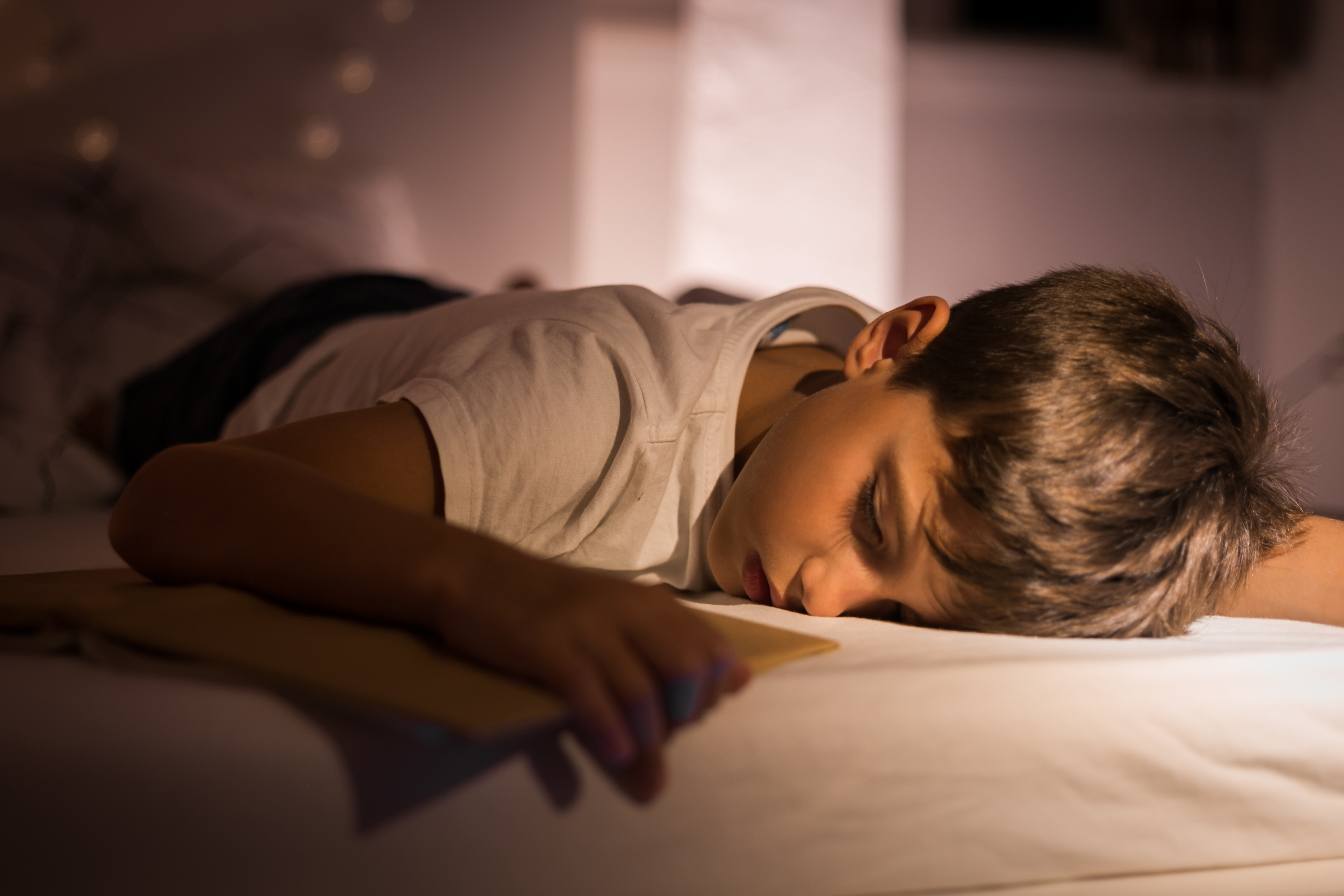 Un băieţel dispărut din Germania, găsit în timp ce dormea într-un loc bizar. „Probabil că i s-a părut frumos şi liniştit”