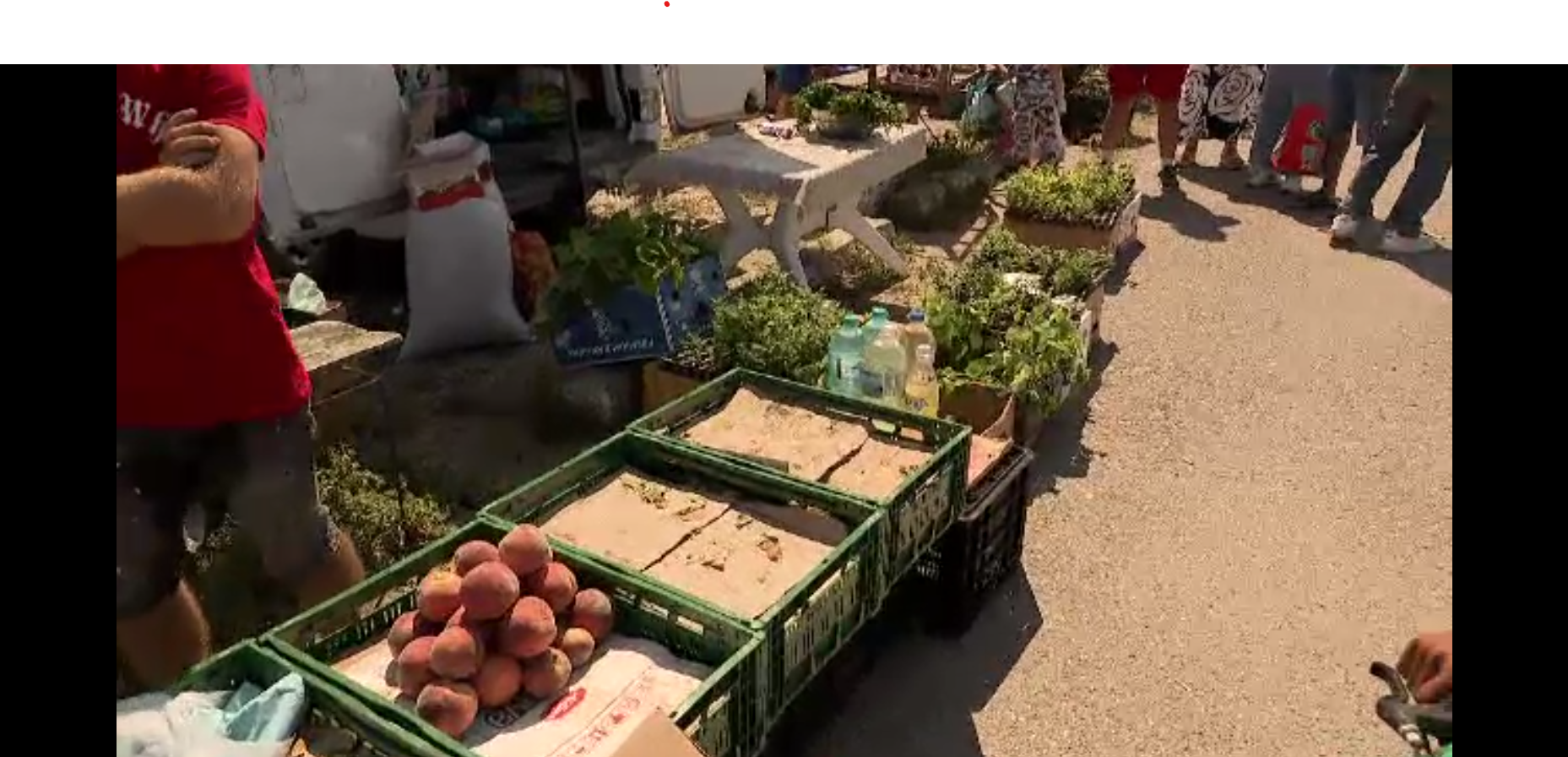 Micii cultivatori spun că recolta este bogată, dar nu au unde să o vândă. În alte țări oamenii sunt ajutați