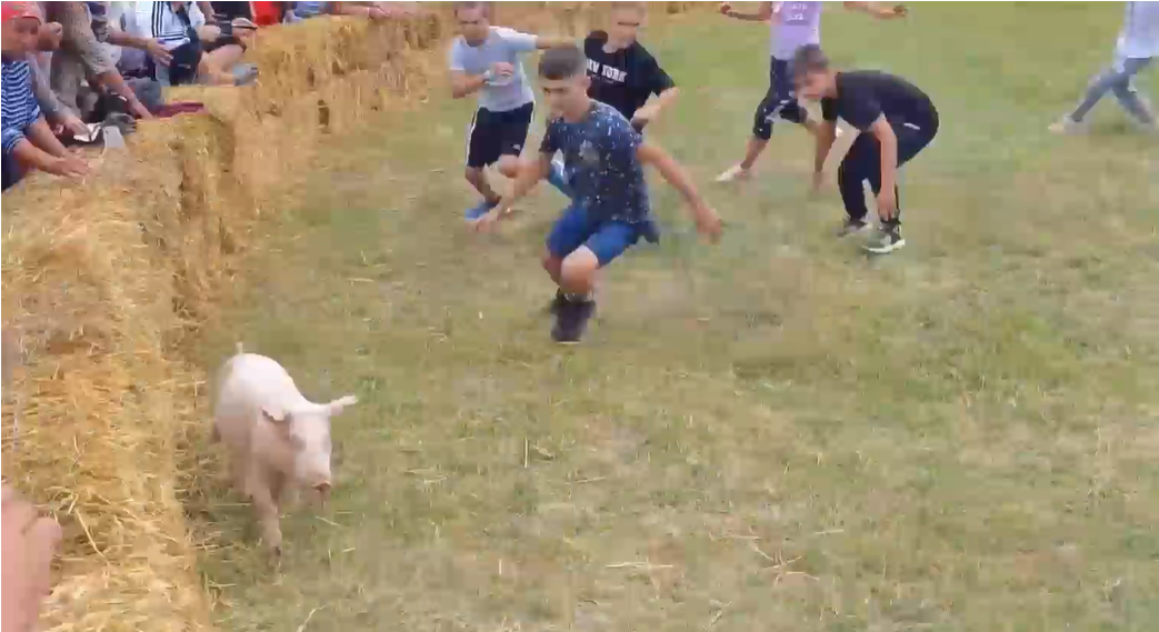 ”Prinsul purceilor”, un concurs pentru copii într-o comună din Vaslui. Adulții se întrec la bătut cuie | VIDEO