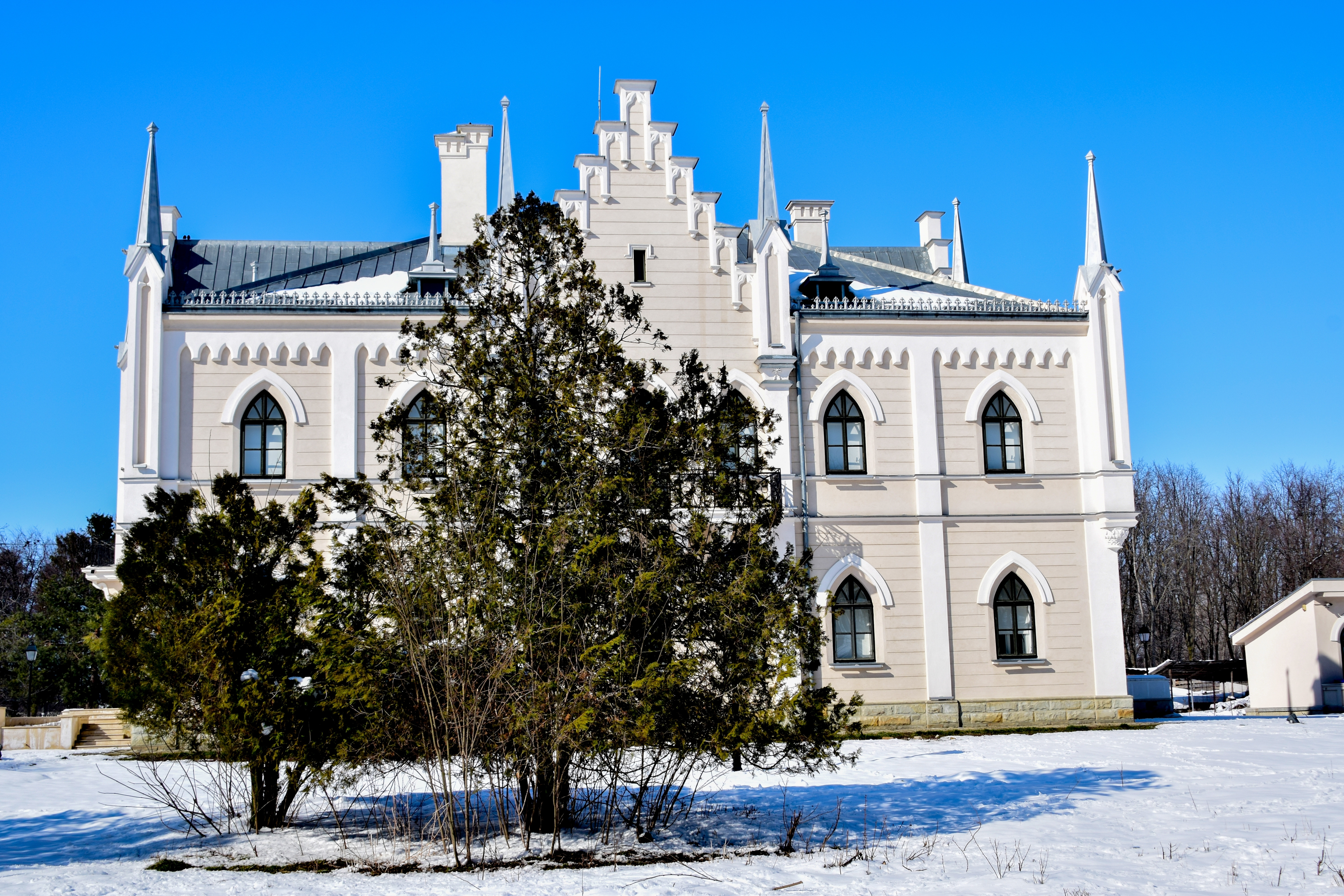 Palatul Cuza de la Ruginoasa