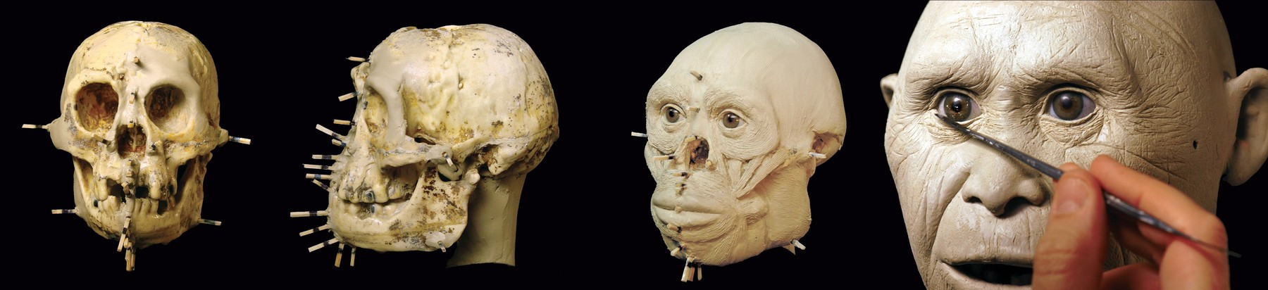 A fost găsit un os provenit de la o specie minusculă de oameni antici. Ce se știe despre Homo floresiensis. FOTO