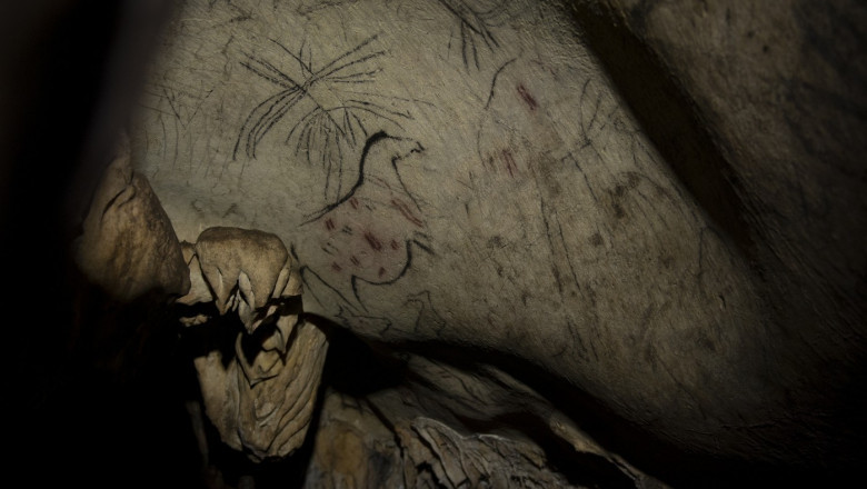 Un bărbat este anchetat pentru că a turnat apă pe picturi rupestre antice. Voia să facă o poză pentru Facebook