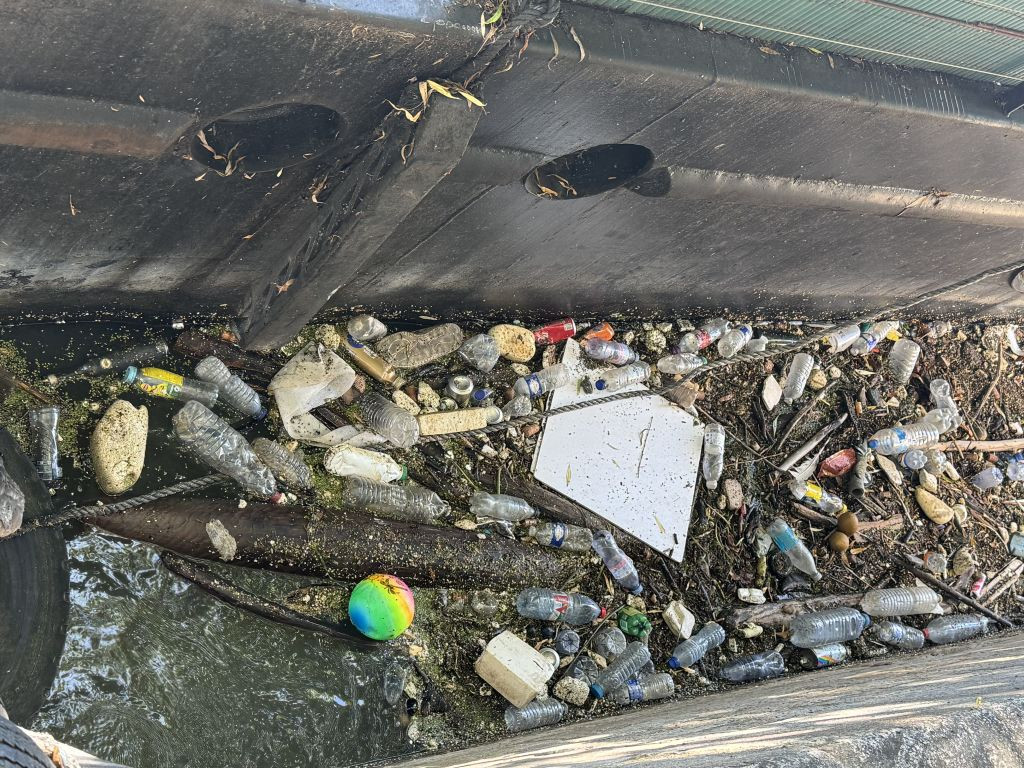 Parizienii nu par încântați de ideea unei baze de înot pe Sena: „E plină de șobolani, de gunoaie. Nu vreau să mă îmbolnăvesc”