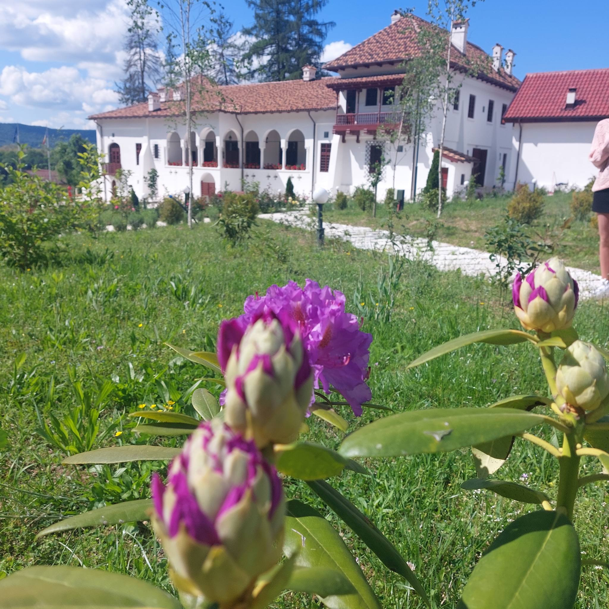Muzeul Memorial Nicolae Bălcescu