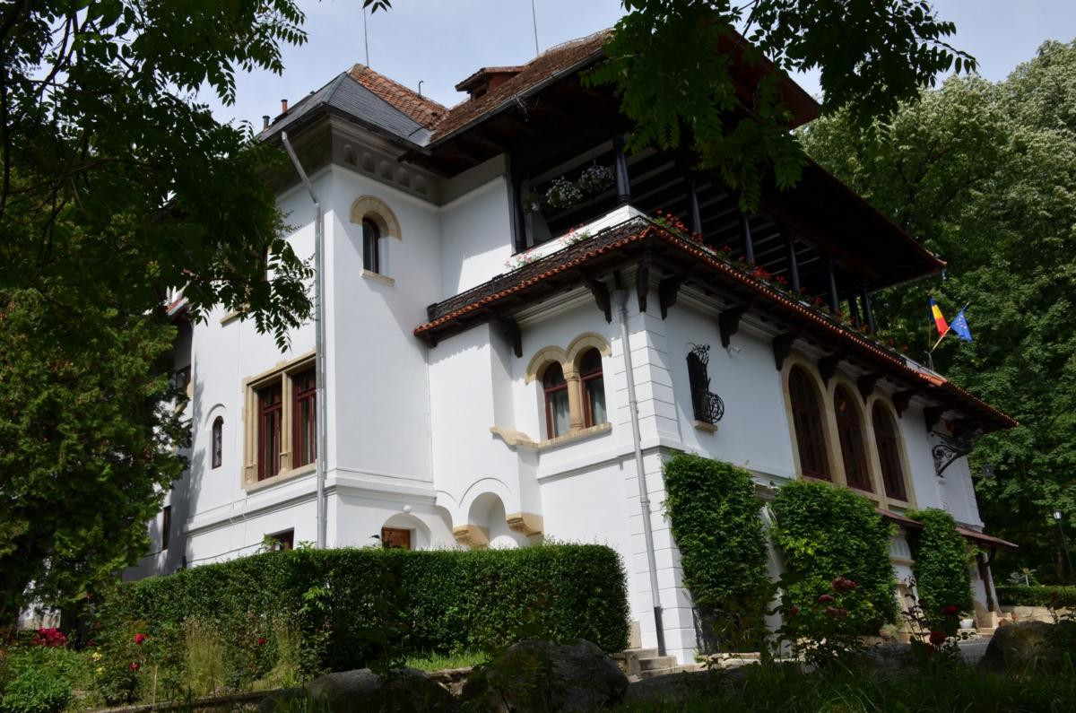 Muzeul Național Brătianu