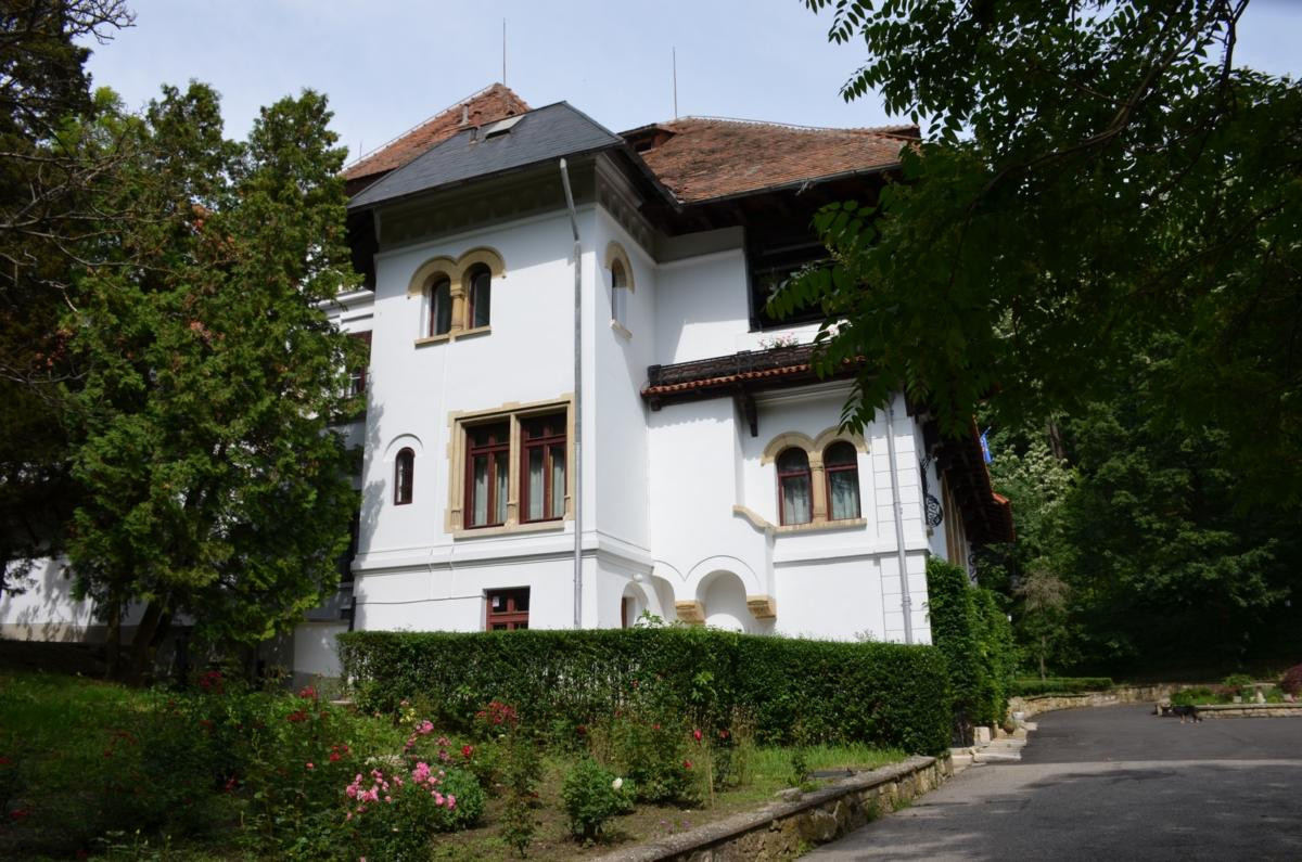 Muzeul Național Brătianu