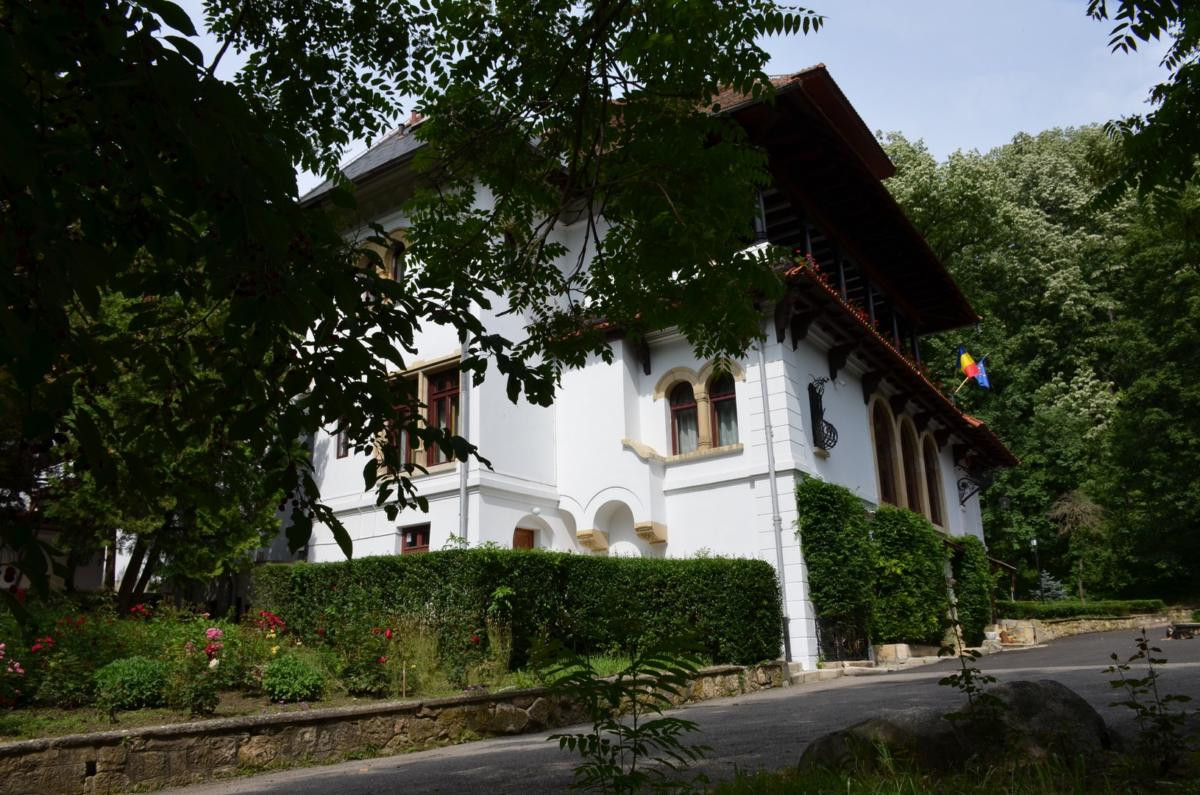 Muzeul Național Brătianu