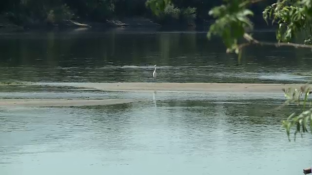 Valul năucitor de căldură se va amplifica. Mai multe insule au apărut pe Dunăre, la Corabia, din cauza secetei