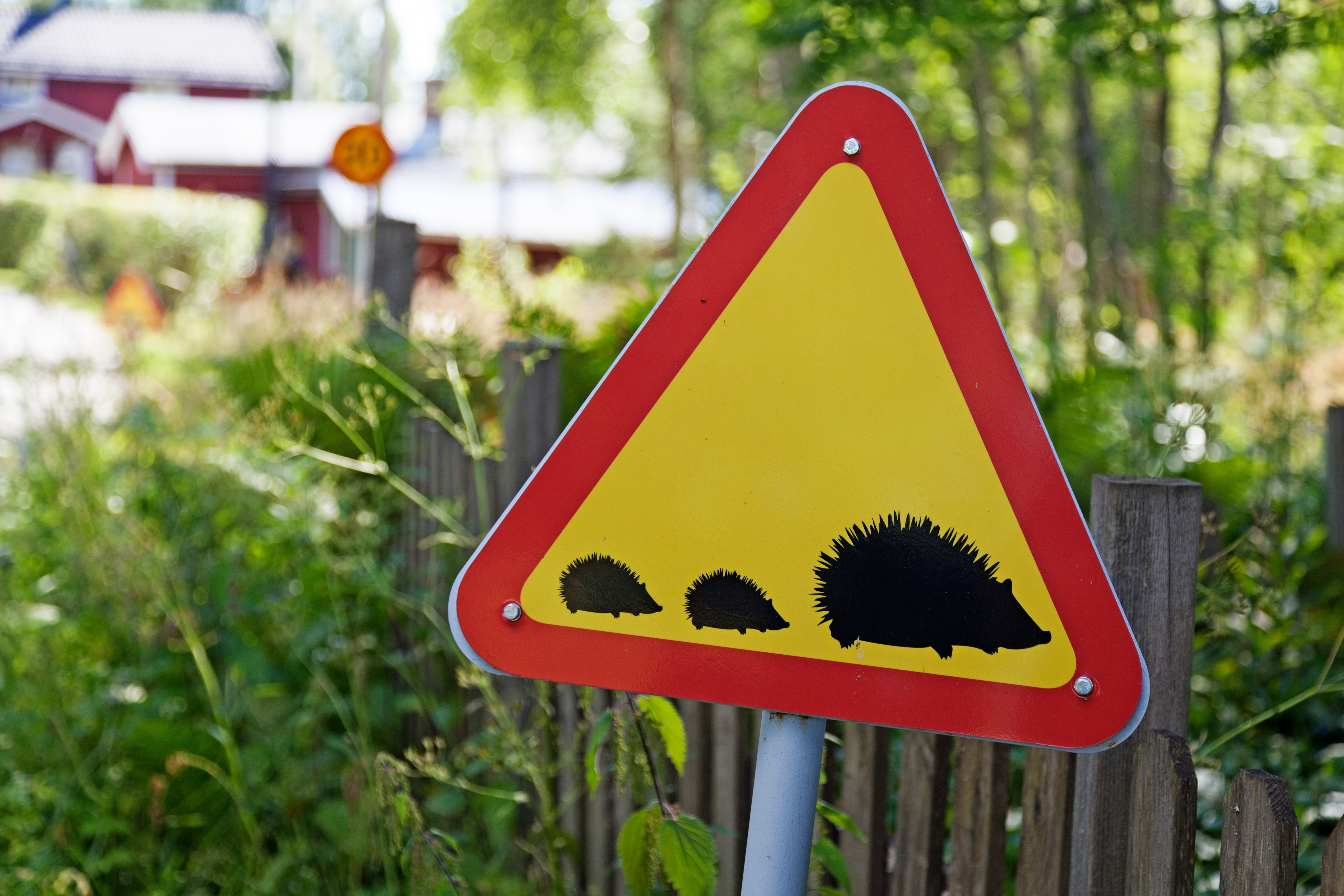 hedgehog traffic sign