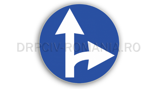 semne de circulatie albastre