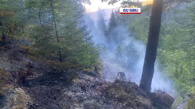 Incendiu de pădure declanșat de un ATV răsturnat. Pompierii se luptă cu flăcările de peste 24 de ore