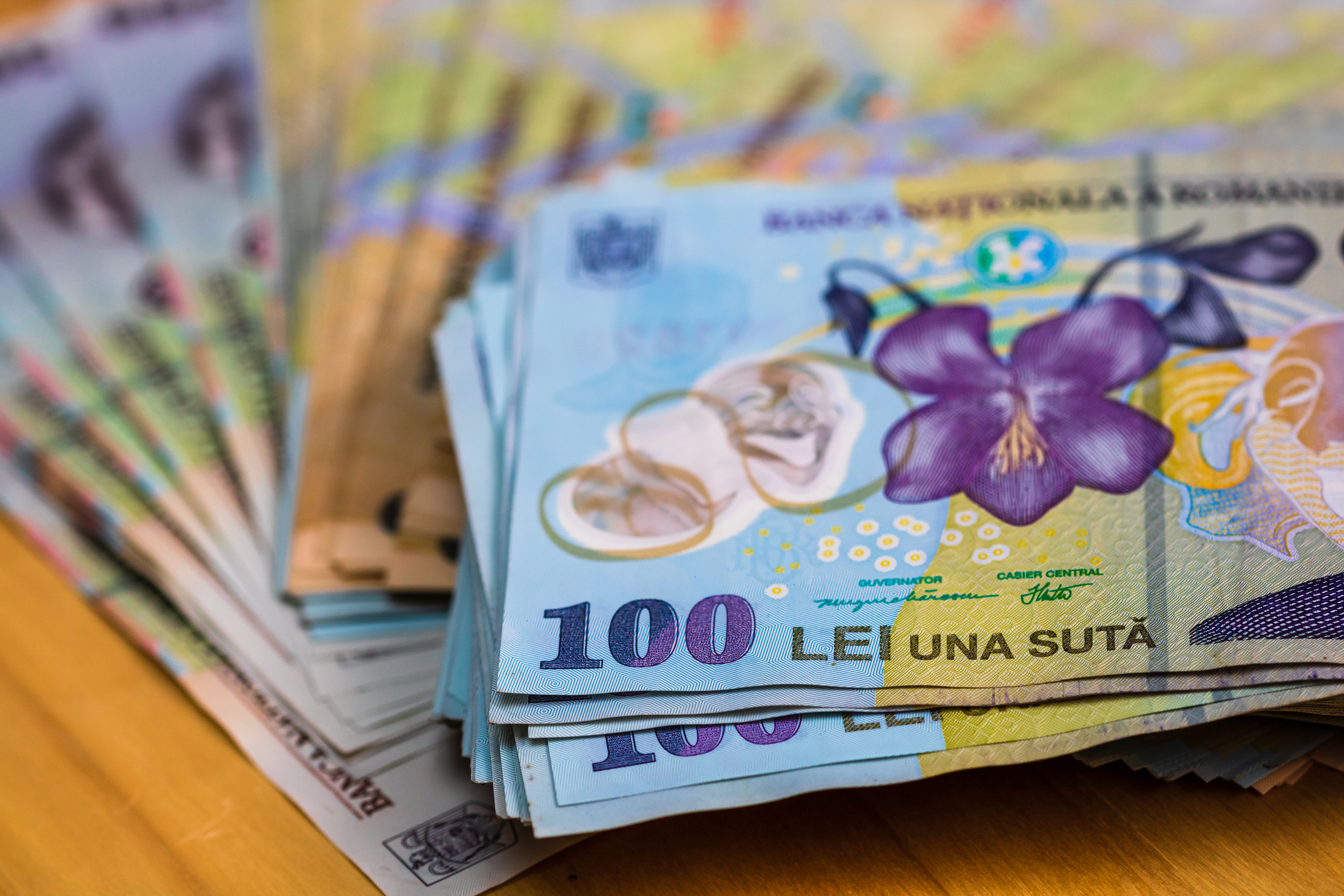 Topul cheltuielilor făcute de partidele din România în prima parte a anului. Pe ce s-au dus banii publici