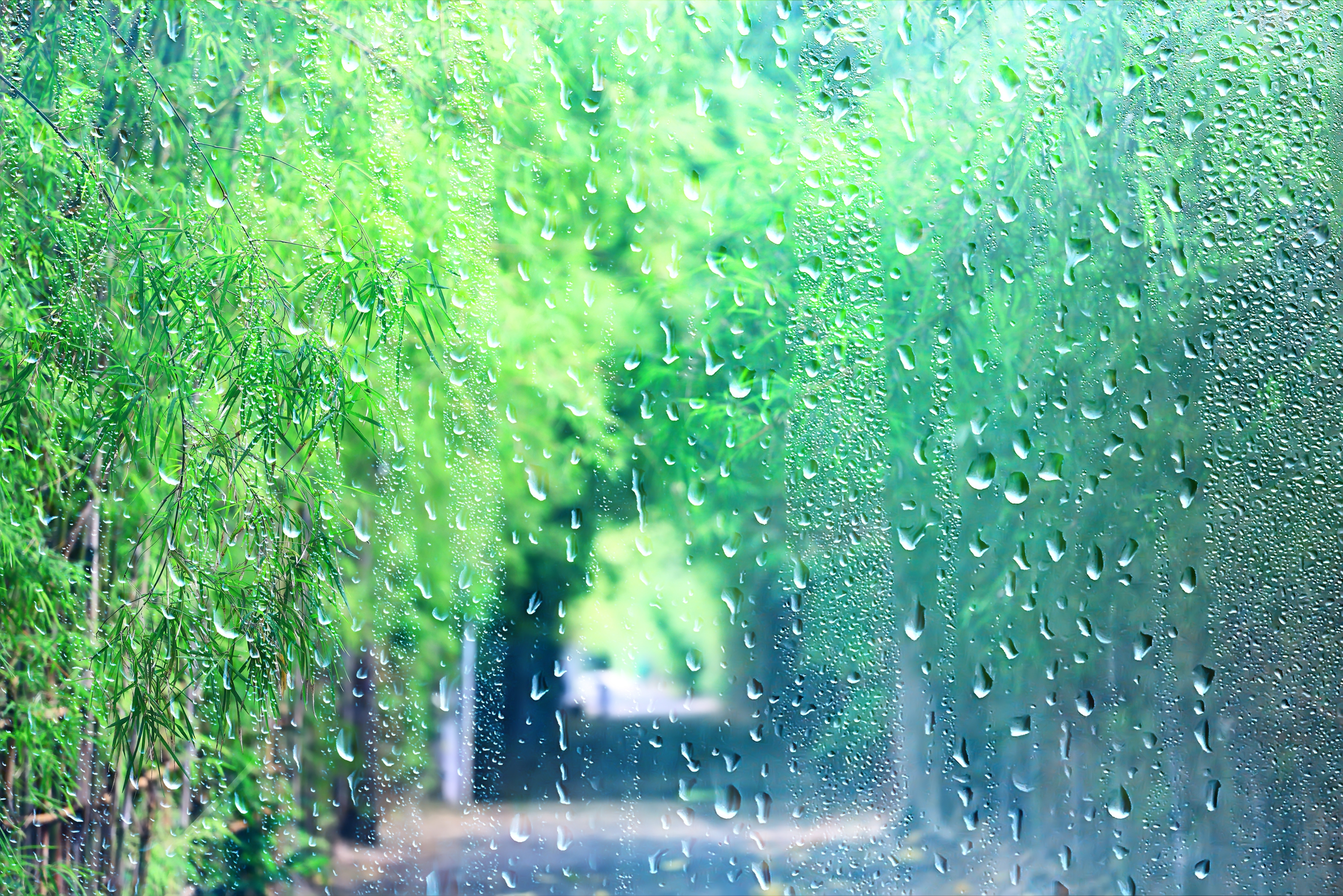 Vremea azi, 30 august. Instabilitate meteo, accentuată în toată țara. Unde va ploua și care sunt maximele zilei