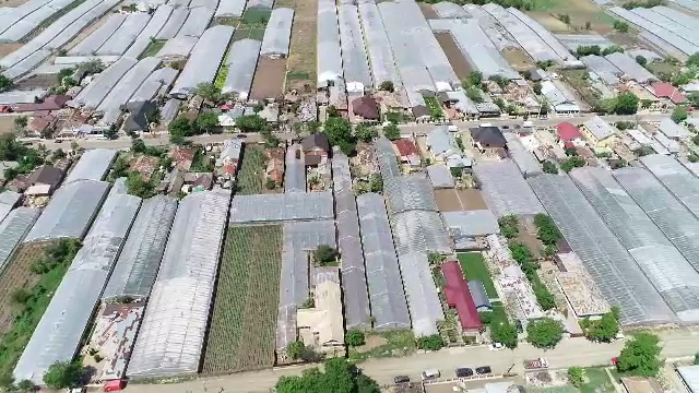 Roșii cu pesticide toxice în piețe. Inspectorul PRO a făcut descoperiri revoltătoare într-o comună din Galați