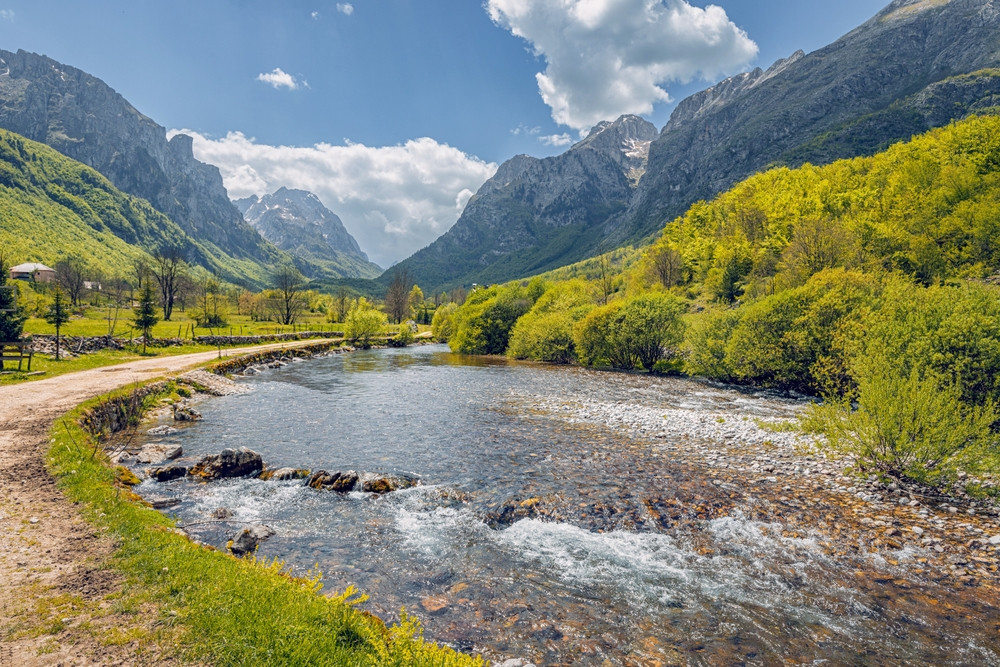 destinatii salbatice