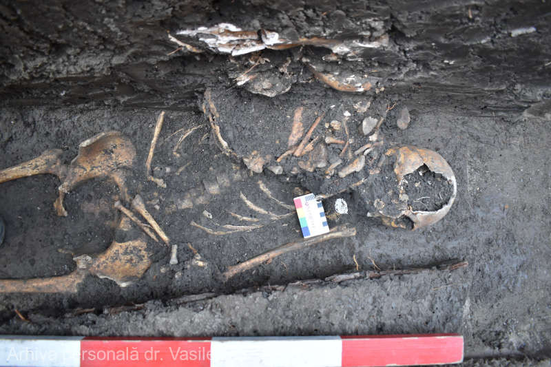 Descoperire arheologică senzațională, lângă Târgu Neamț. Au o vechime de 8.000 de ani | FOTO