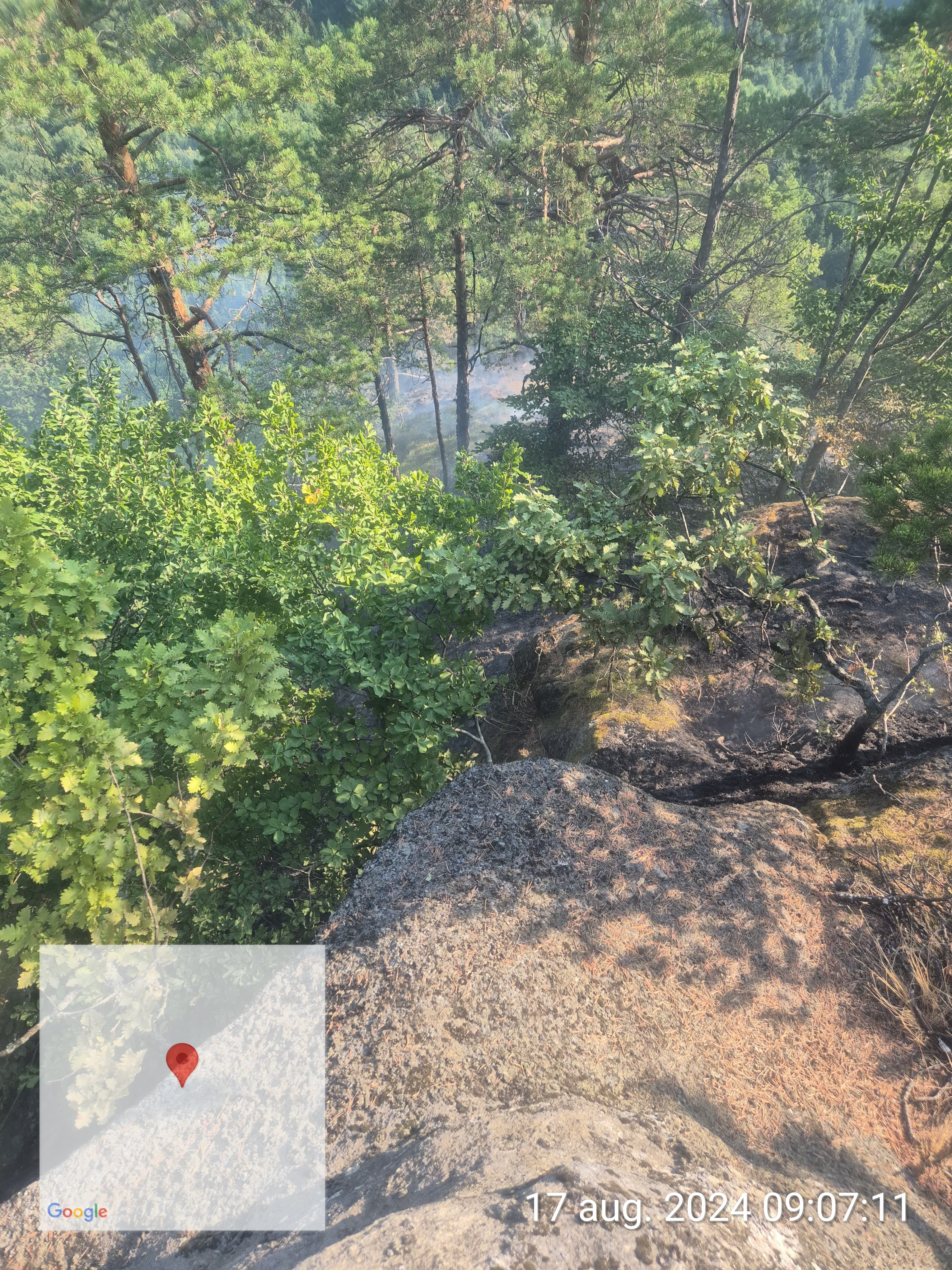 Incendiu de pădure în apropiere de Băile Olăneşti, într-o zonă greu accesibilă. VIDEO