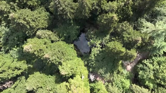 Locul spectaculos din România care îi uimește pe toți cei care îl vizitează. Aici este unul dintre cele mai frumoase lacuri