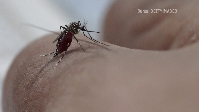 INSP: 27 de cazuri de infecţie cu virusul West Nile, înregistrate în acest sezon. Trei persoane au murit