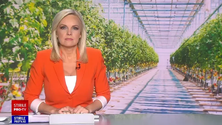 Cum arată „Matilda”, roșia cu gust de zmeură, care rezistă la secetă. Avantajele majore pe care le are față de alte soiuri