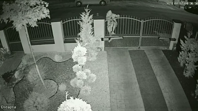 Hoț prins de jandarmi chiar după o spargere. Bărbatul, surprins de camere când a sărit gardul în curtea unei familii