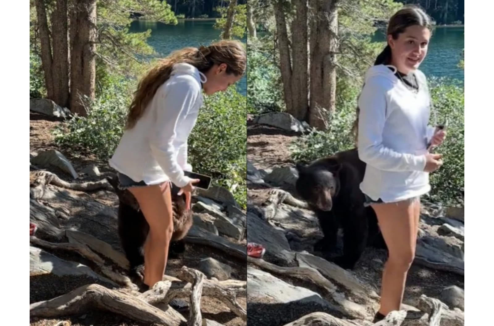 Momentul în care un urs apucă de un picior o adolescentă în timp ce se afla pe munte. Videoclipul a devenit viral