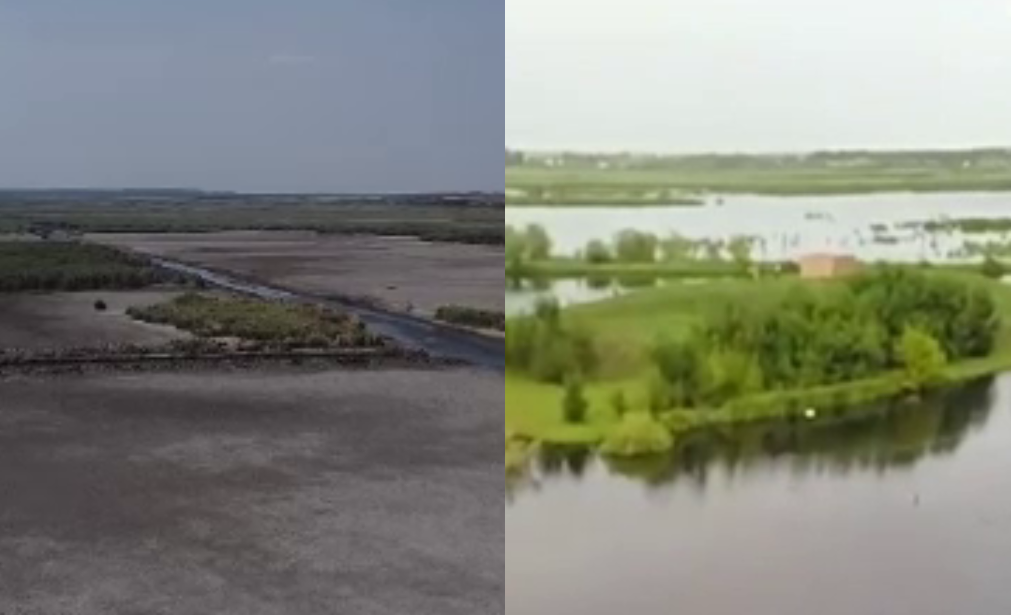 Lacurile României rămân fără apă. Una dintre cele mai importante zone mlăștinoase din sudul țării a secat