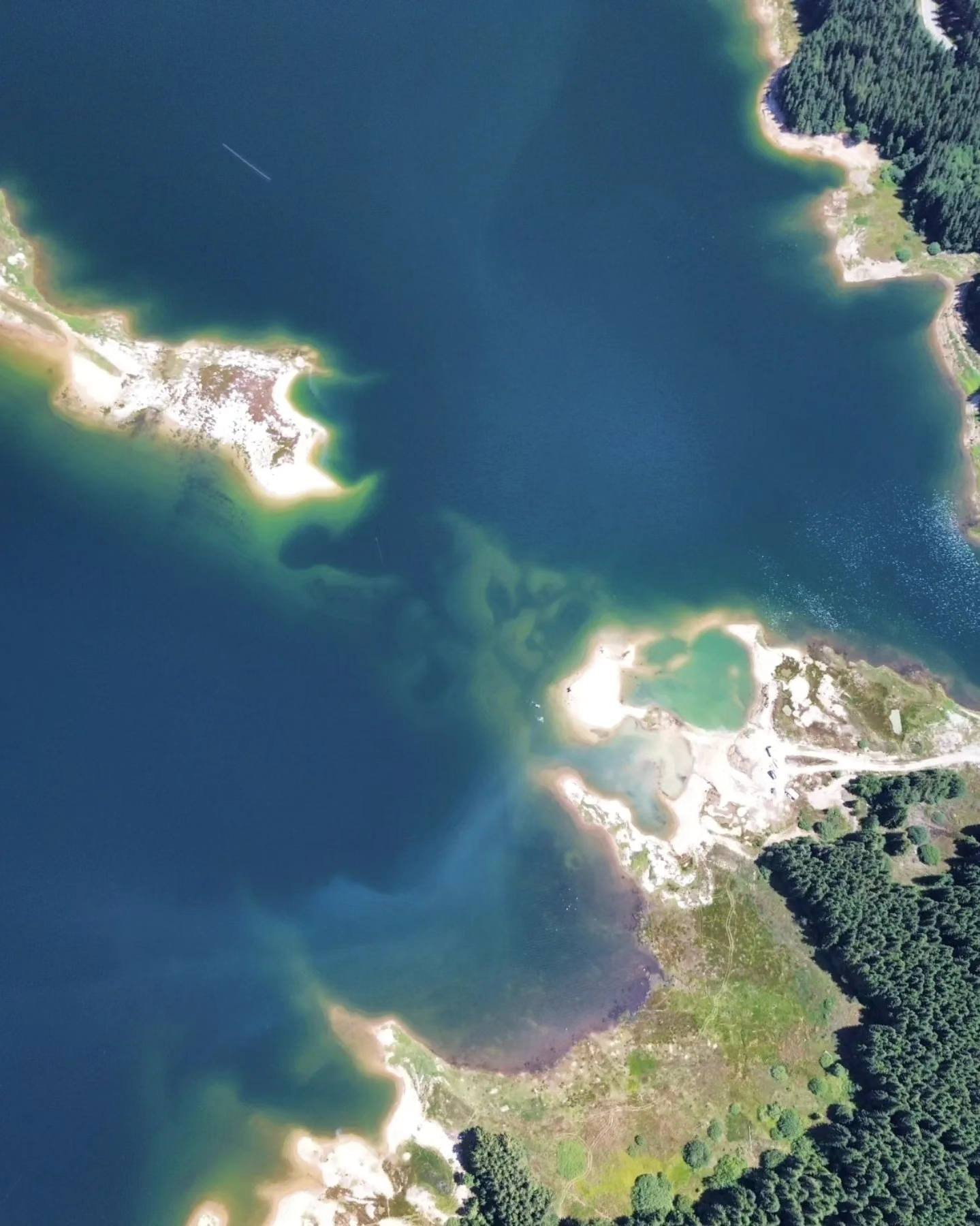 Seceta lovește crunt România. Două râuri au secat complet. 658 de localităţi primesc apă cu restricţii