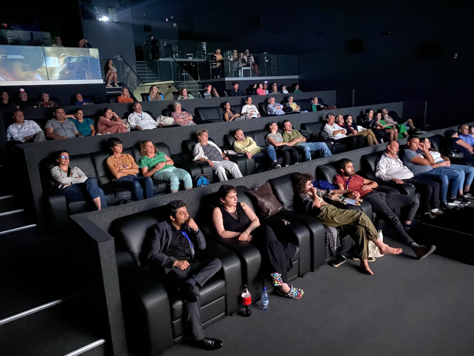 RROMA Film Festival: filme și muzică inspirate de cultura romă. Proiecție specială a filmului Le Gitan (1975) cu Alain Delon