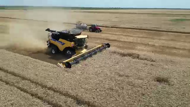 Care este starea culturilor agricole într-un sezon extrem de secetos. Ce spun agricultorii. „Am irigat mai mult ca oricând”