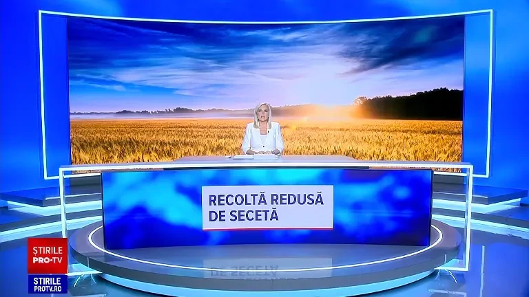 Care este starea culturilor agricole într-un sezon extrem de secetos. Ce spun agricultorii. „Am irigat mai mult ca oricând”