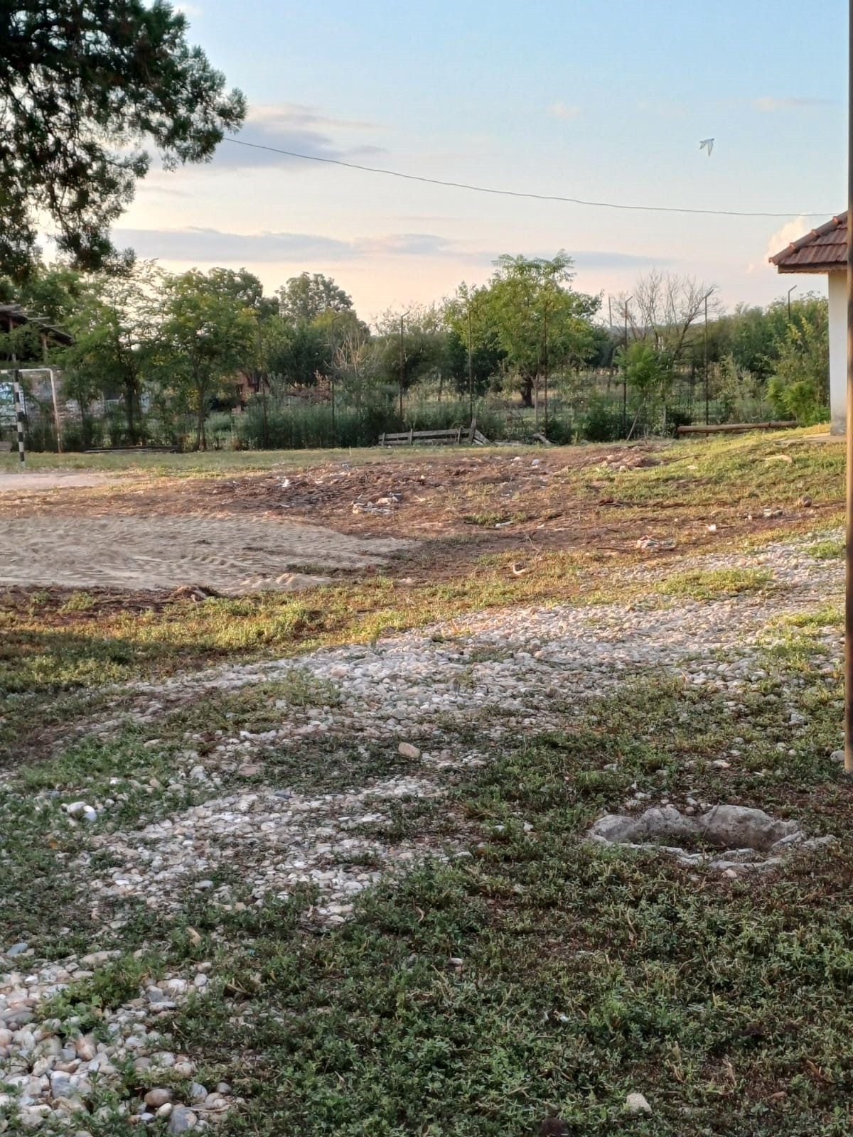 curte scoala t&icirc;ntava