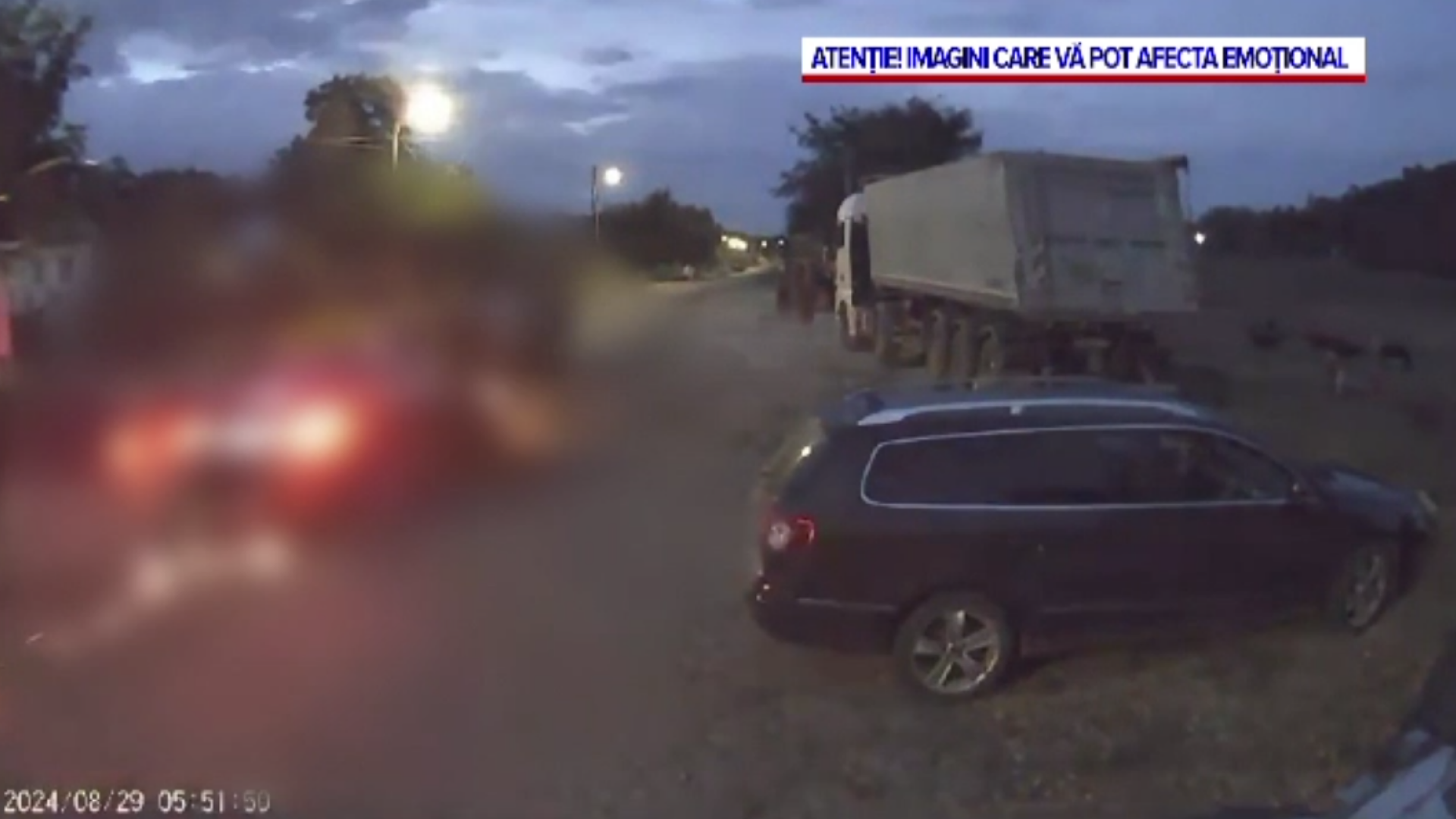 Accident șocant în Iași. 15 vaci, care se duceau la păscut, au fost lovite în plin de o mașină