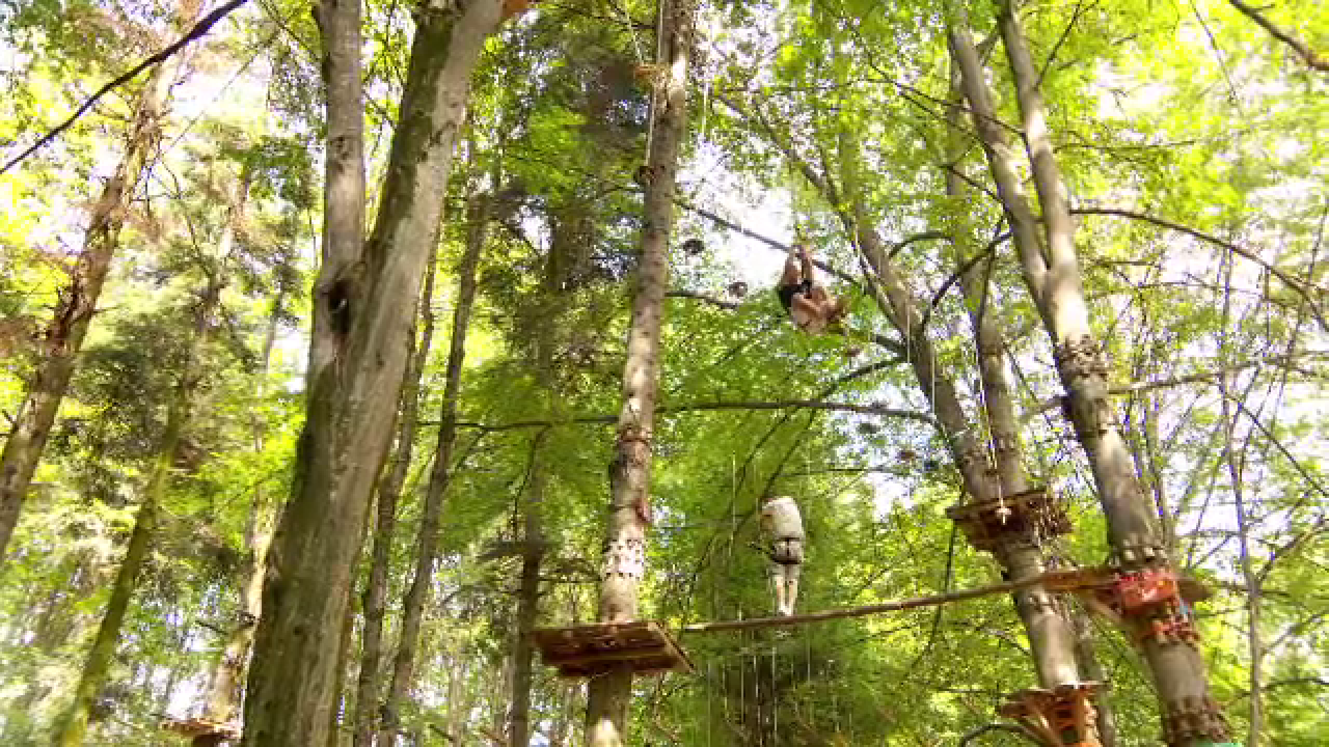 Ultima zi de vară, perfectă pentru munte. Românii luat cu asalt parcurile de aventură sau au copt legume pentru iarnă