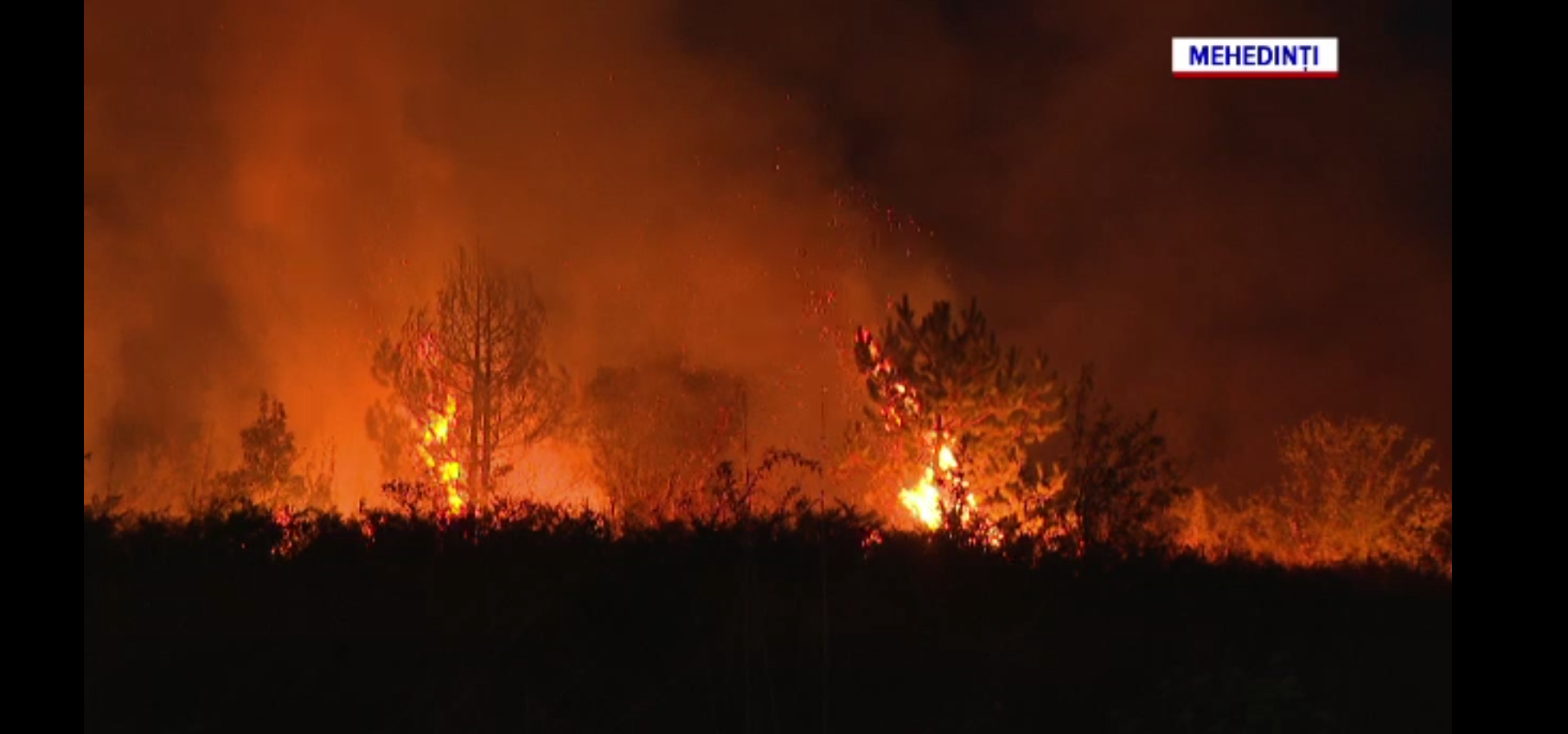 Incendiile de vegetație fac prăpăd în mai multe zone din țară. În Mehedinți flăcările au mistuit peste 200 de hectare