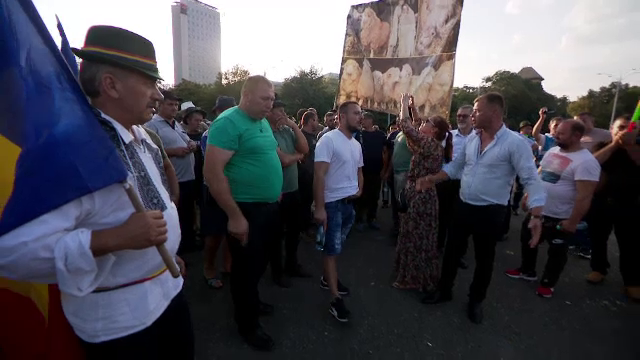 Ciobanii, scoși în stradă de măsurile dure pentru oprirea pestei: „E bătaie de joc asupra fermierului!”