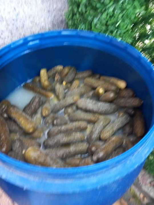 Patru fast-food-uri &rdquo;Socului Kebab&rdquo; din Bucureşti, &icirc;nchise temporar de ANPC