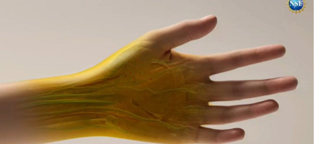 Colorantul alimentar care face pielea transparentă. Organele interne pot deveni vizibile