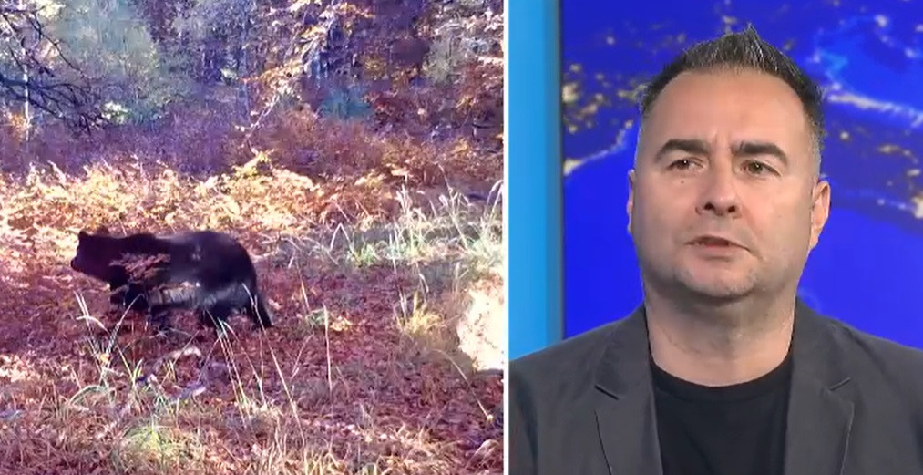 „România, te iubesc!”, gata de un nou sezon. Rareș Năstase prezintă, azi, de la 18, reportajul „Ursul păcălit de oameni”
