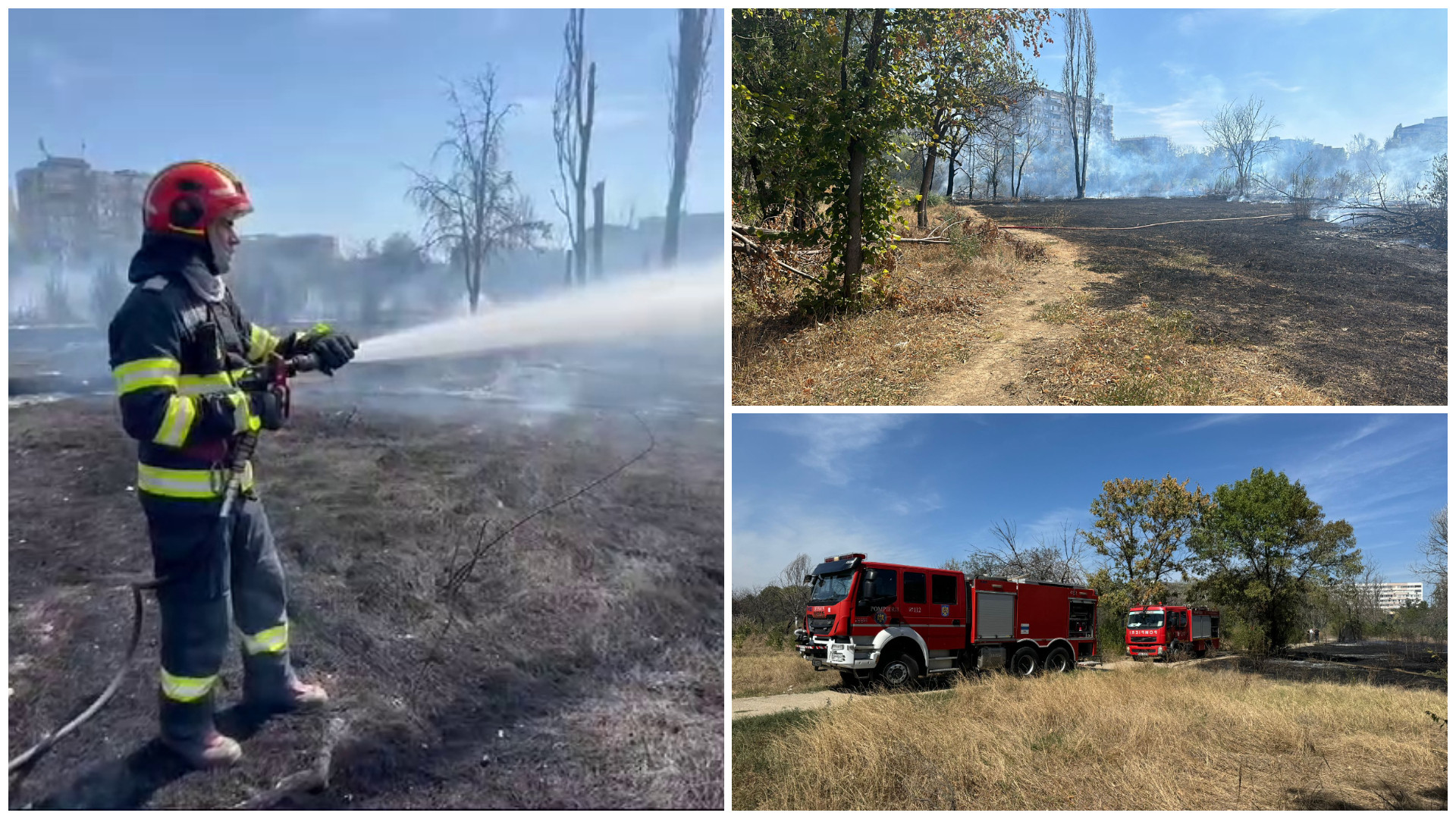 Un incendiu masiv a izbucnit în parcul IOR din Capitală. Flăcările au distrus 20.000 de metri pătrați