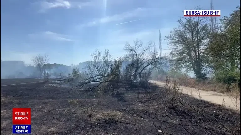 Un incendiu masiv a izbucnit în parcul IOR din Capitală. Flăcările au distrus 20.000 de metri pătrați