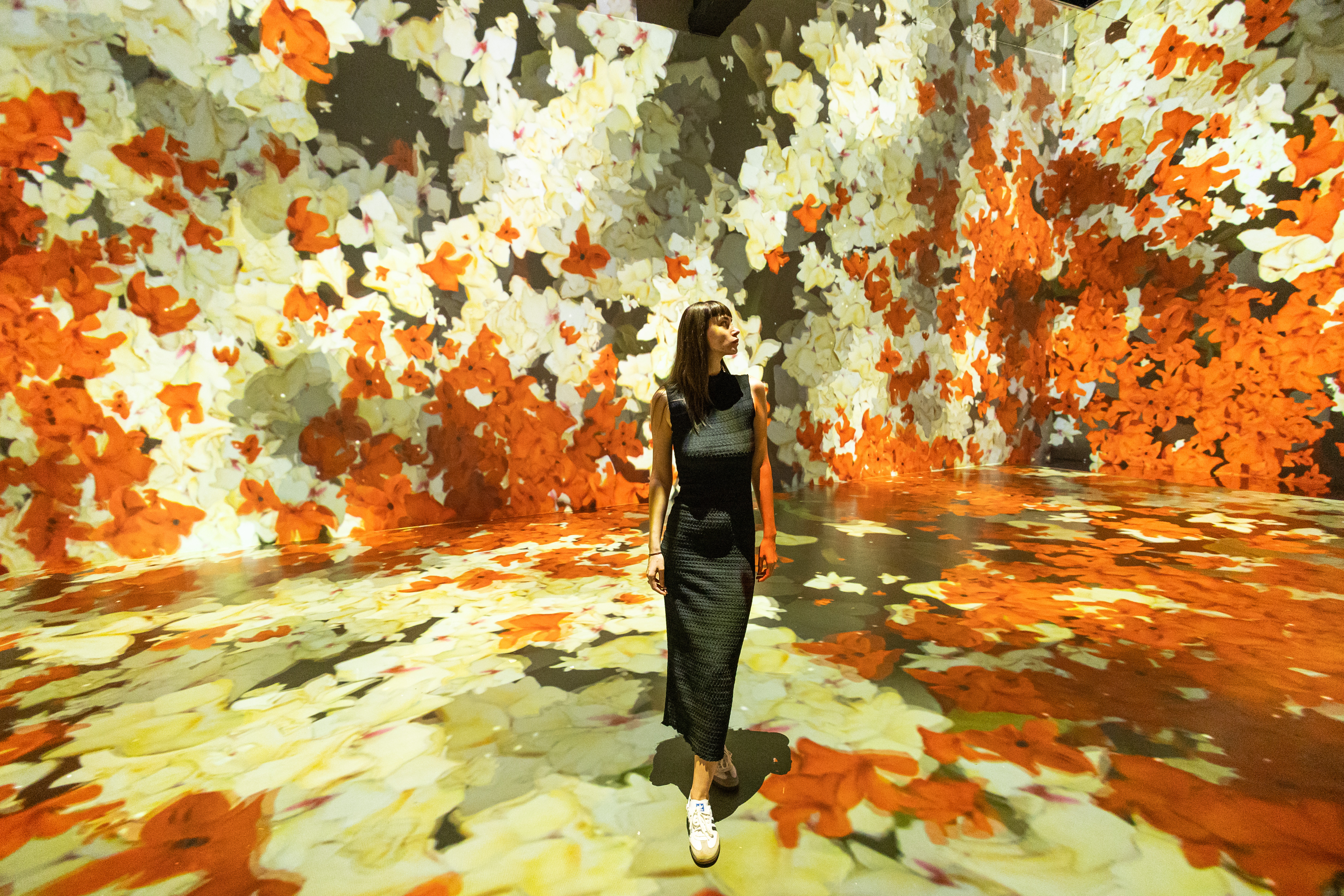 MINA, muzeul de arta imersiva