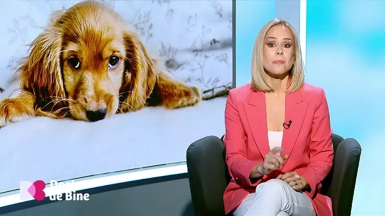 Importanța animalelor de companie în copilărie. Beneficiile pe care acestea le aduc sănătății celor mici