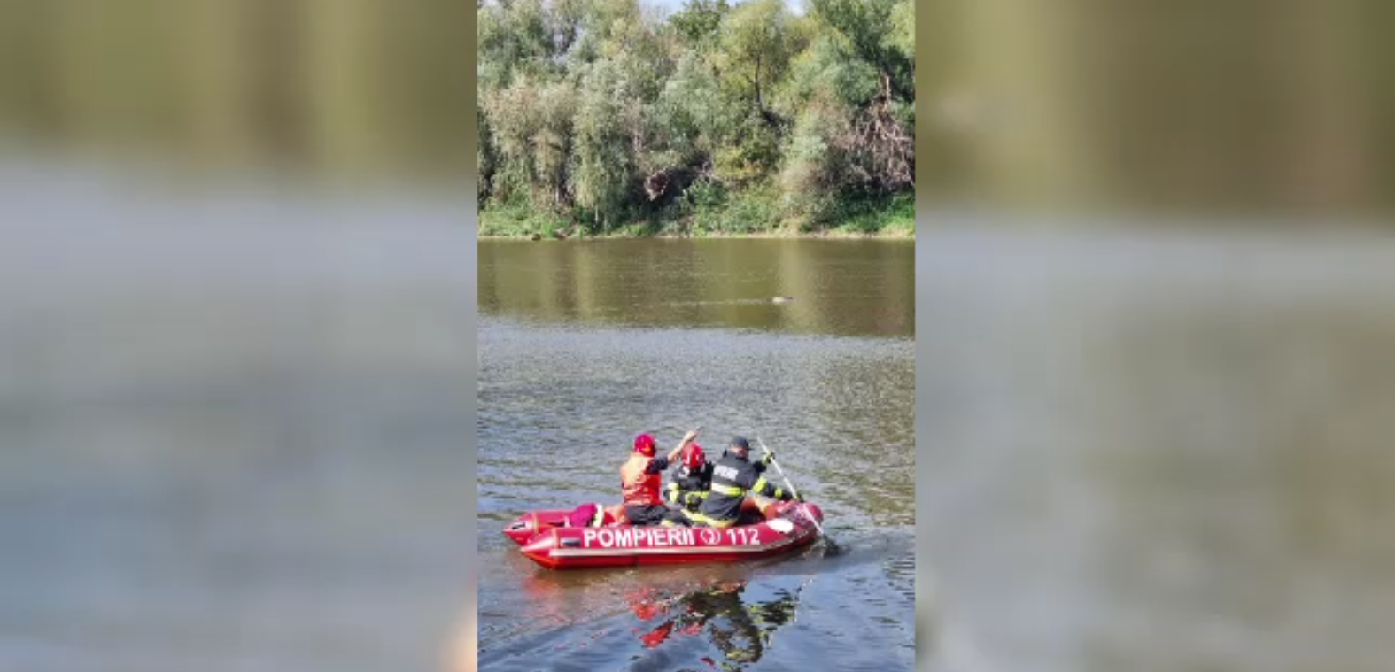 Descoperire șocantă în Satu Mare. O tânără de aproximativ 20 de ani a fost găsită moartă după ce s-ar fi înecat