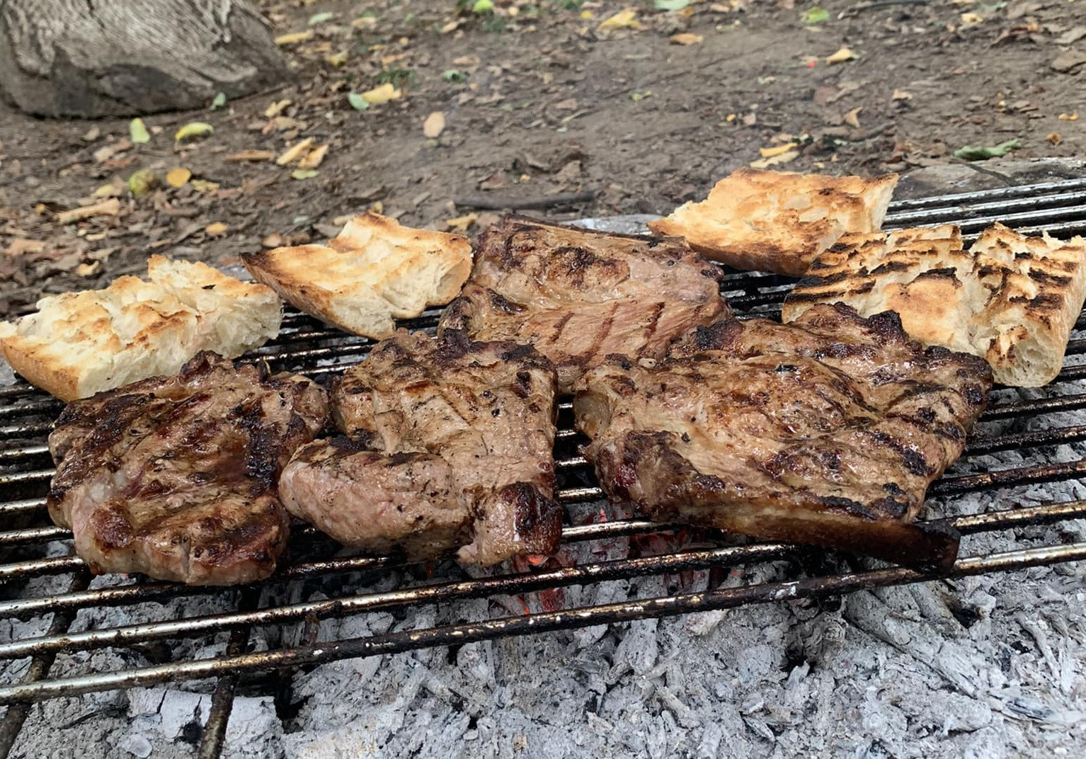 Cum să gătești sănătos carnea pe grătar. Mihaela Bilic dezvăluie un ingredient neașteptat