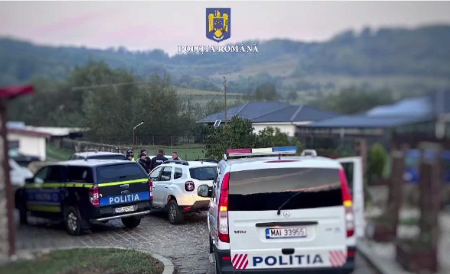 Percheziții la un adăpost de animale din Mureș. Primăria din Târnăveni, bănuită că a cerut eutanasierea ilegală a 17 câini