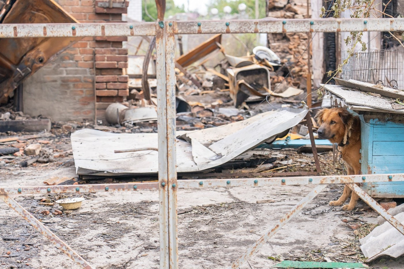 Forțele ruse au luat cu asalt oraşul ucrainean Zaporojie. Civilii au fost evacuați din mai multe clădiri. Numărul răniților