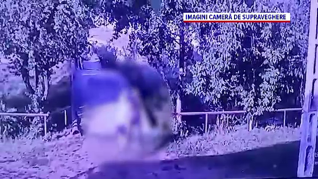 Imagini scandaloase, filmate într-un sat din Brașov. O femeie a fost bătută pe stradă de o rudă: ”Mi-a dat cu sapa”