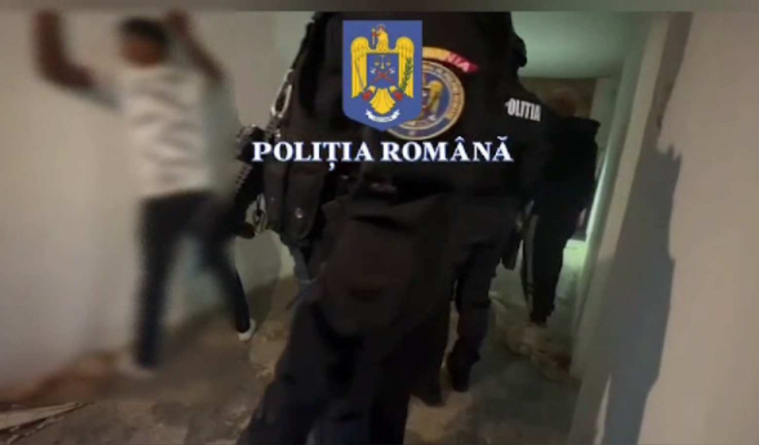 Descinderi masive în Prahova, după lupte de stradă și mașini incendiate. Totul a pornit de la petrecerea pentru un porc tăiat